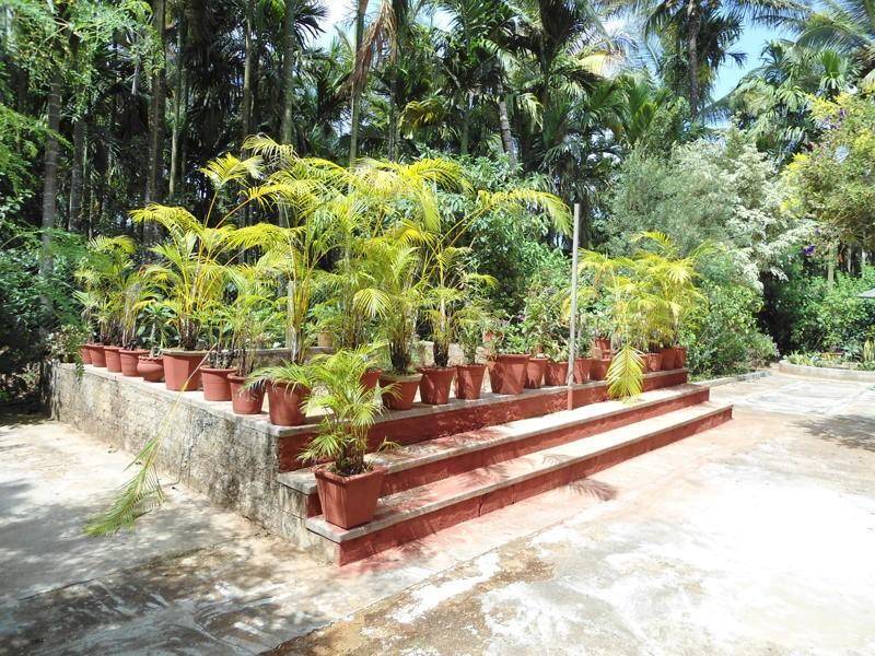 1_garden-2.jpg